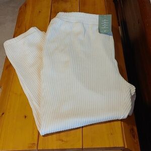 NWT H&M Women's Ivory Comfy Soft Velour Ribbed Pant